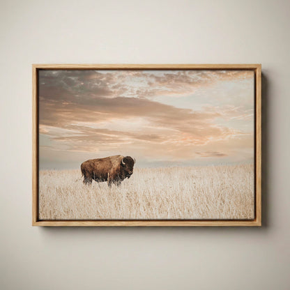 American Bison Wall Art - Large Wildlife Wall Decor Canvas-Natural Oak Float Frame / 12 x 18 Inches