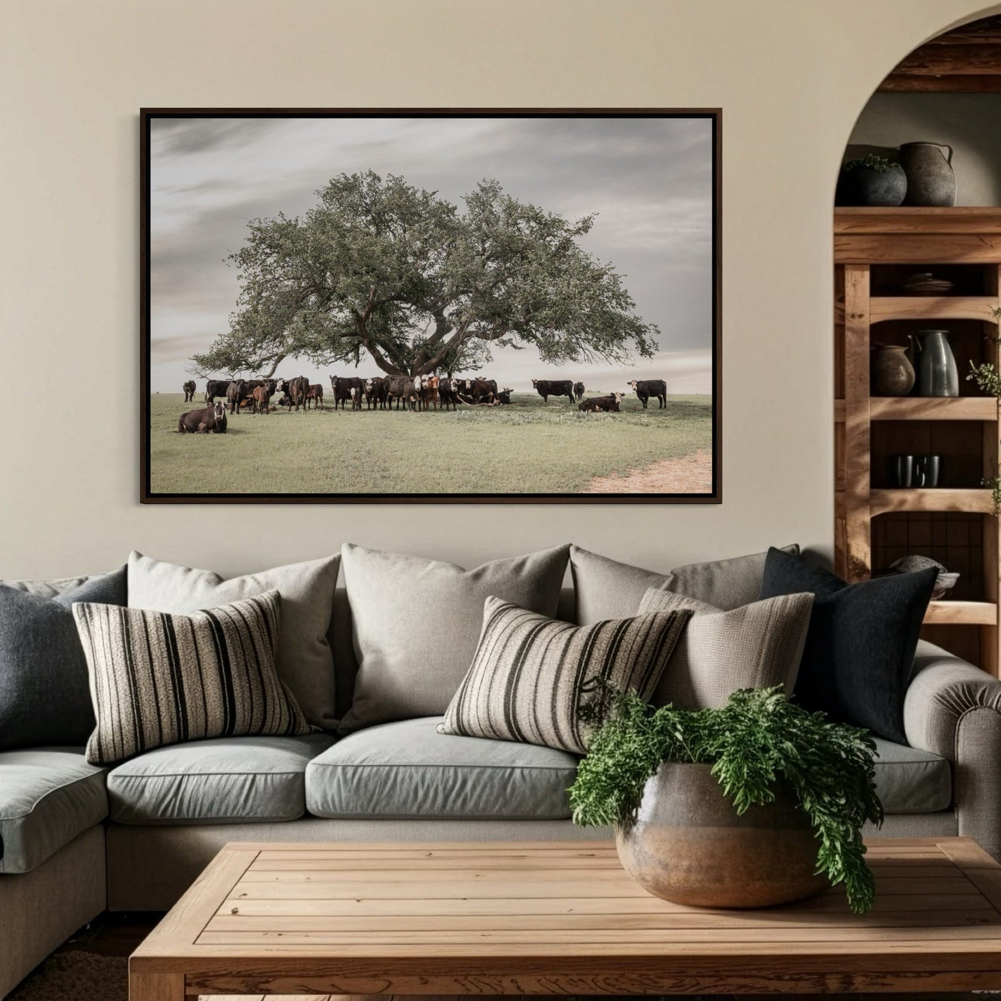 Angus Black Baldy Cow Canvas Wall Art Teri James Photography