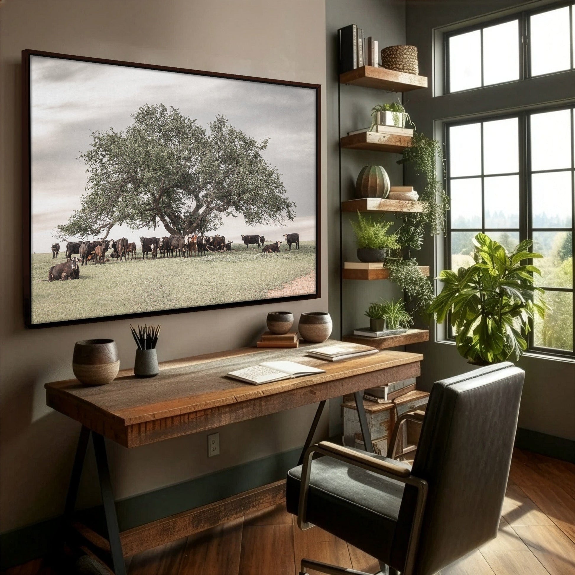 Angus Black Baldy Cow Canvas Wall Art Teri James Photography