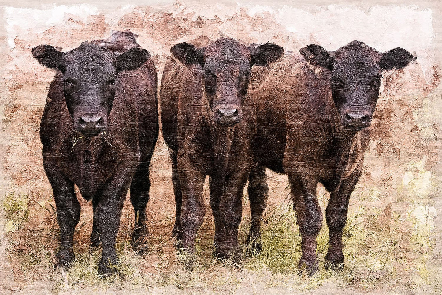 Angus Calves Nursery Decor Paper Photo Print / 12 x 18 Inches Wall Art Teri James Photography