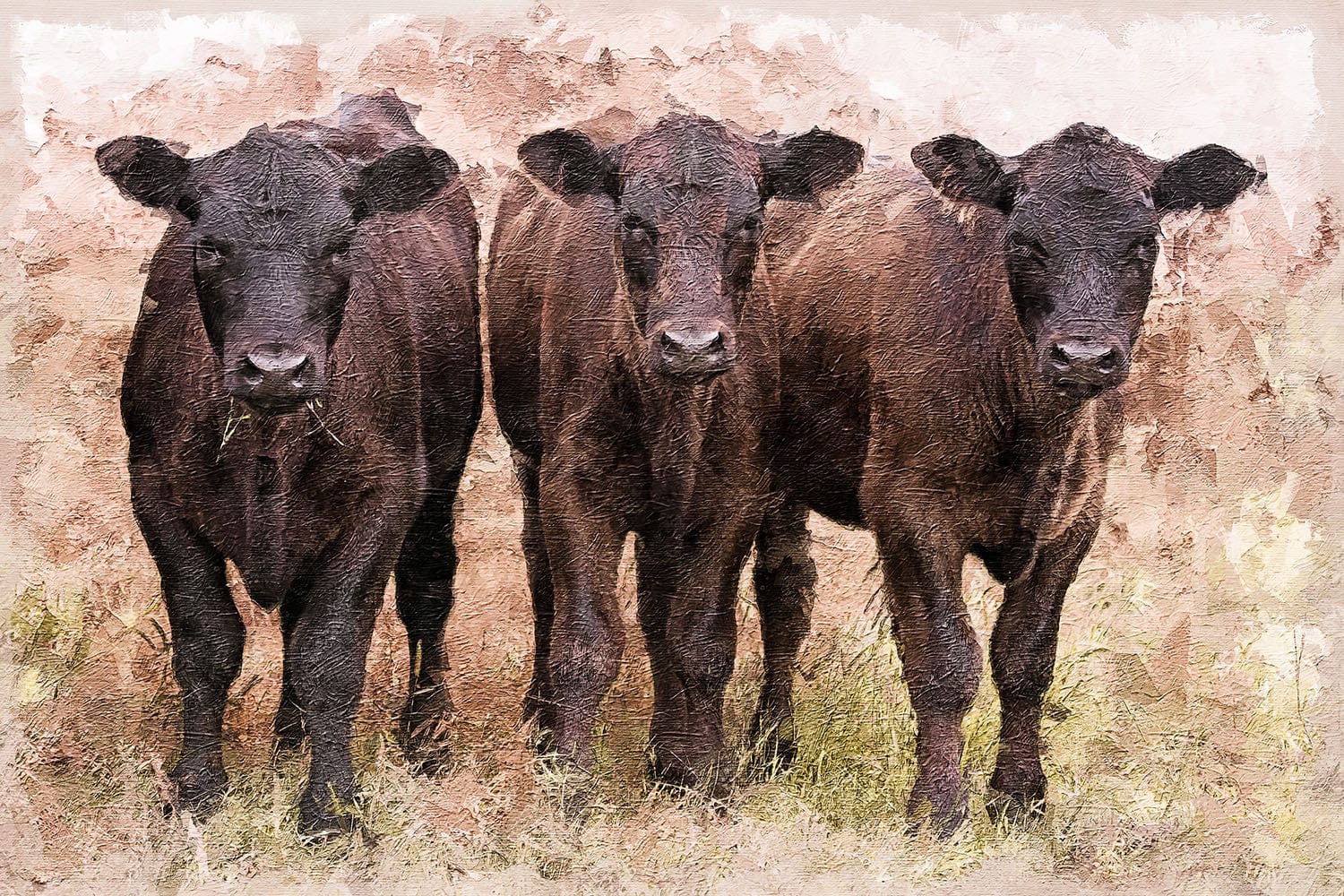 Angus Calves Nursery Decor Paper Photo Print / 12 x 18 Inches Wall Art Teri James Photography