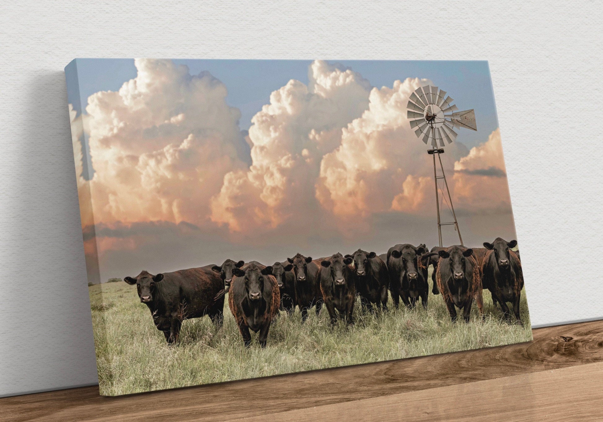 Angus Cattle and Old Windmill Canvas-Unframed / 12 x 18 Inches Wall Art Teri James Photography