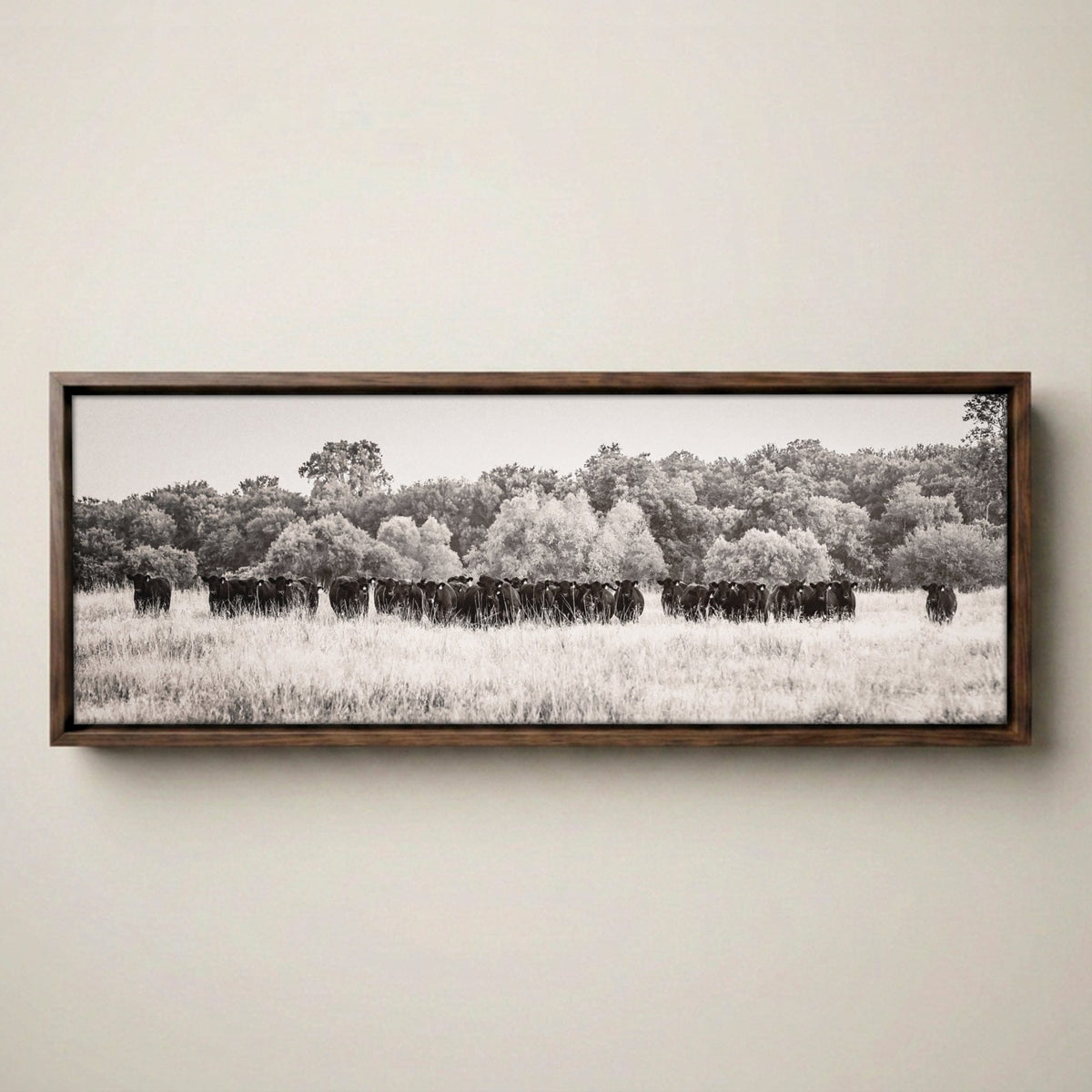 Angus Cattle Canvas - Panoramic Black and White Western Print