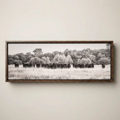 Angus Cattle Canvas - Panoramic Black and White Western Print