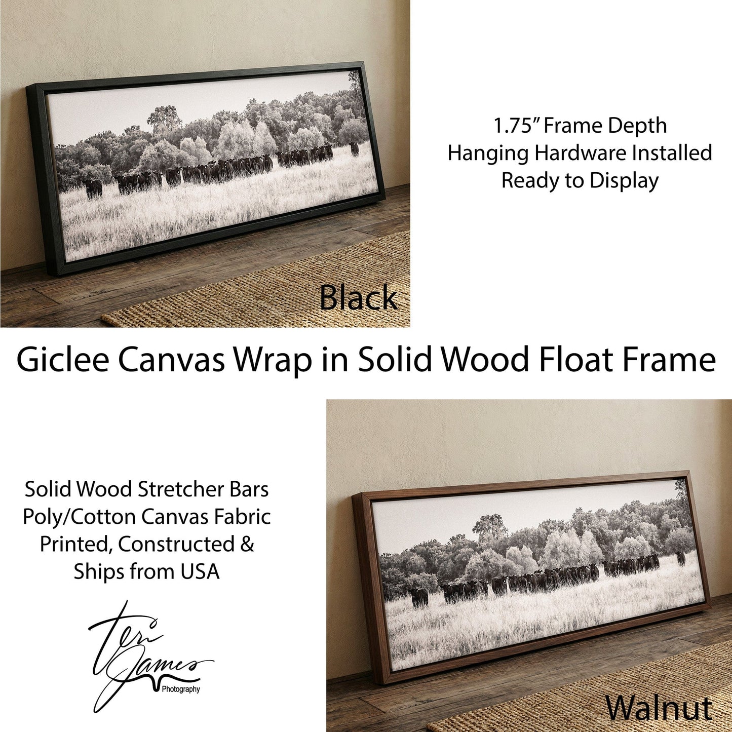 Angus Cattle Canvas - Panoramic Black and White Western Wall Art Print Canvas-Black Frame / 12 x 36 Inches Wall Art Teri James Photography