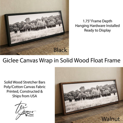 Angus Cattle Canvas - Panoramic Black and White Western Wall Art Print Canvas-Black Frame / 12 x 36 Inches Wall Art Teri James Photography