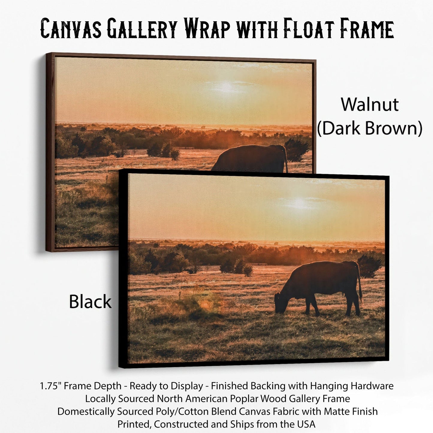 Angus Cow and Oklahoma Sunset Canvas Canvas-Black Frame / 12 x 18 Inches Wall Art Teri James Photography