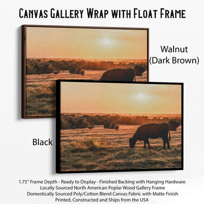Angus Cow and Oklahoma Sunset Canvas Canvas-Black Frame / 12 x 18 Inches Wall Art Teri James Photography