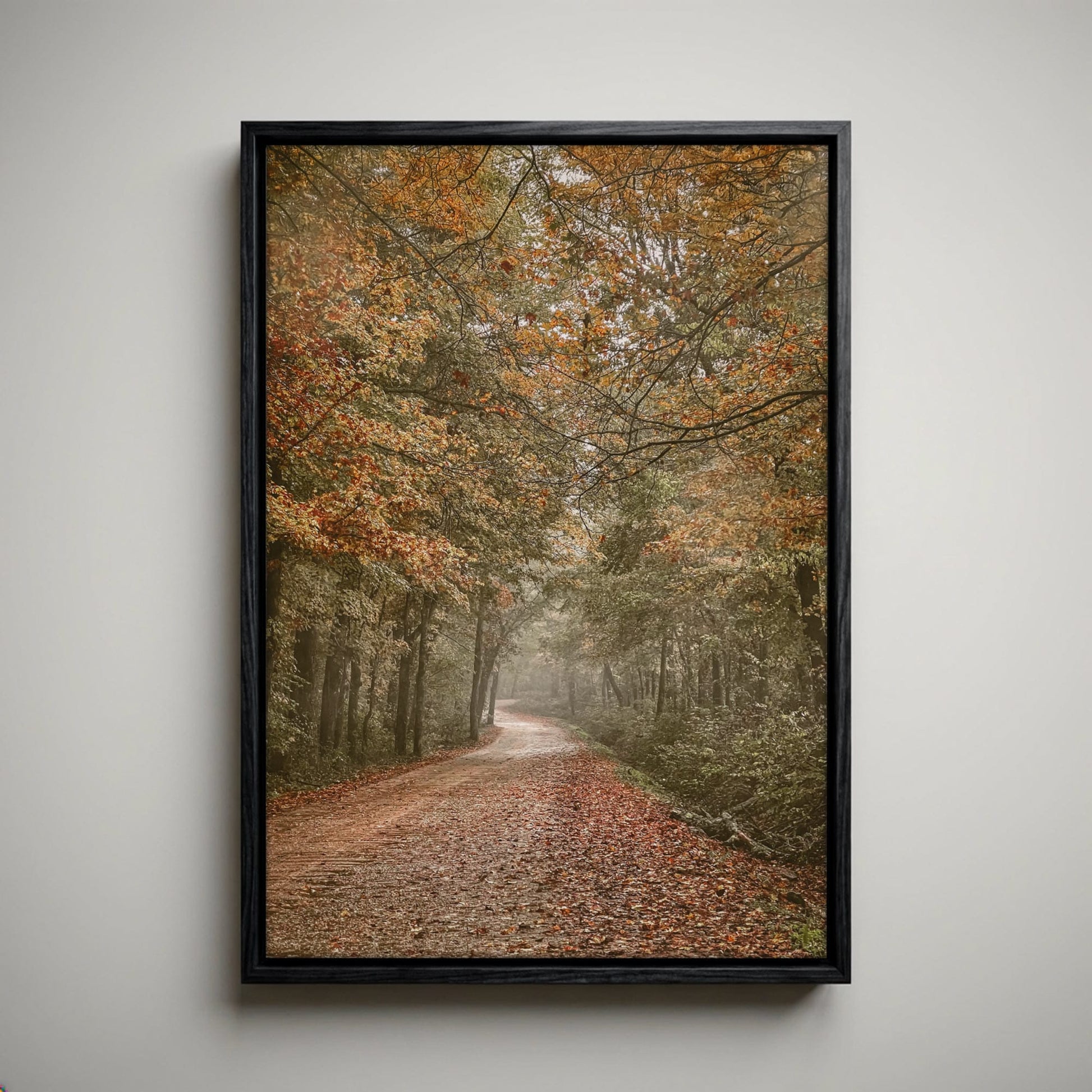 Arkansas Forest Road Scenic Print - Autumn Decor