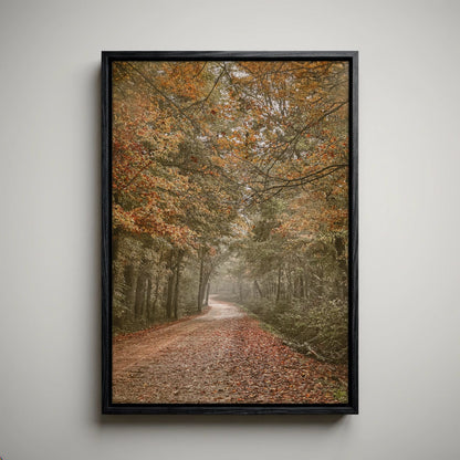 Arkansas Forest Road Scenic Print - Autumn Decor
