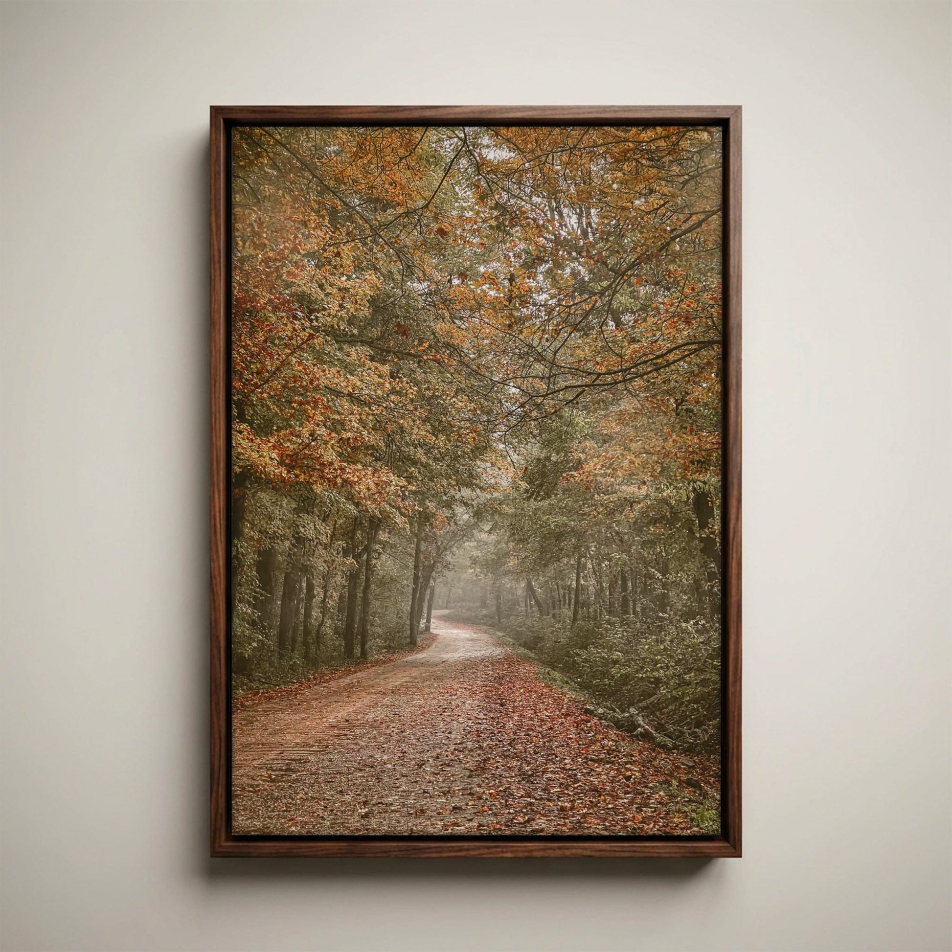 Arkansas Forest Road Scenic Print - Autumn Decor