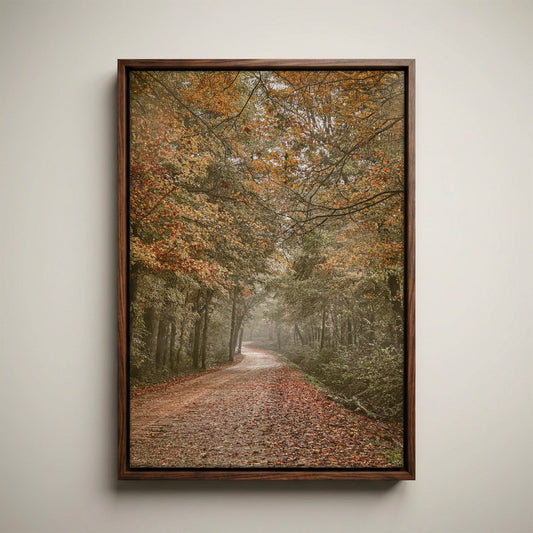 Arkansas Forest Road Scenic Print - Autumn Decor