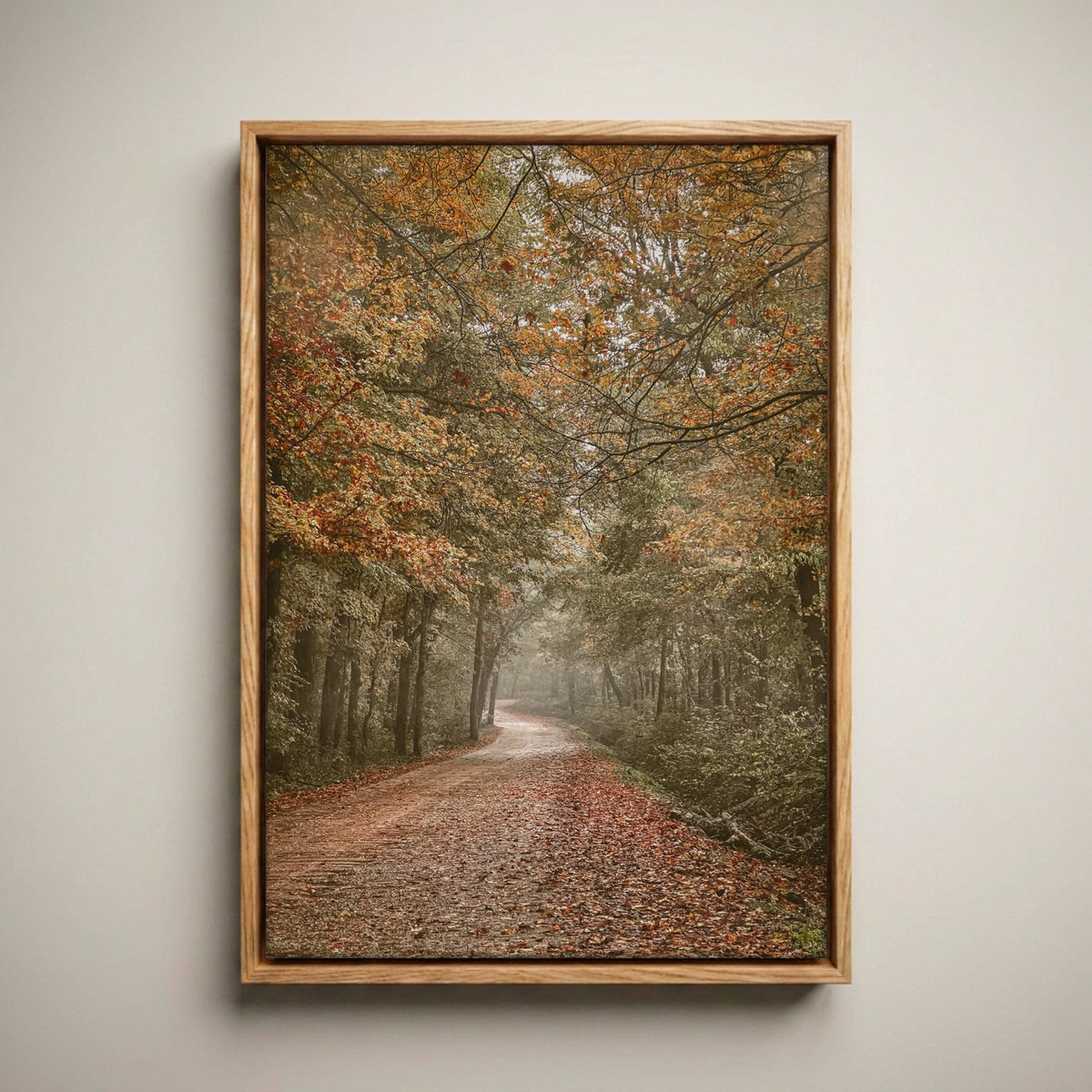 Arkansas Forest Road Scenic Print - Autumn Decor Canvas-Natural Oak Float Frame / 12 x 18 Inches
