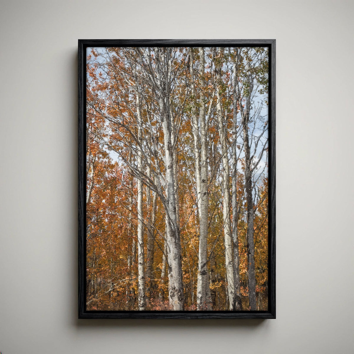 Aspen Tree Photography – Autumn Tree Print with Golden Aspen Leaves