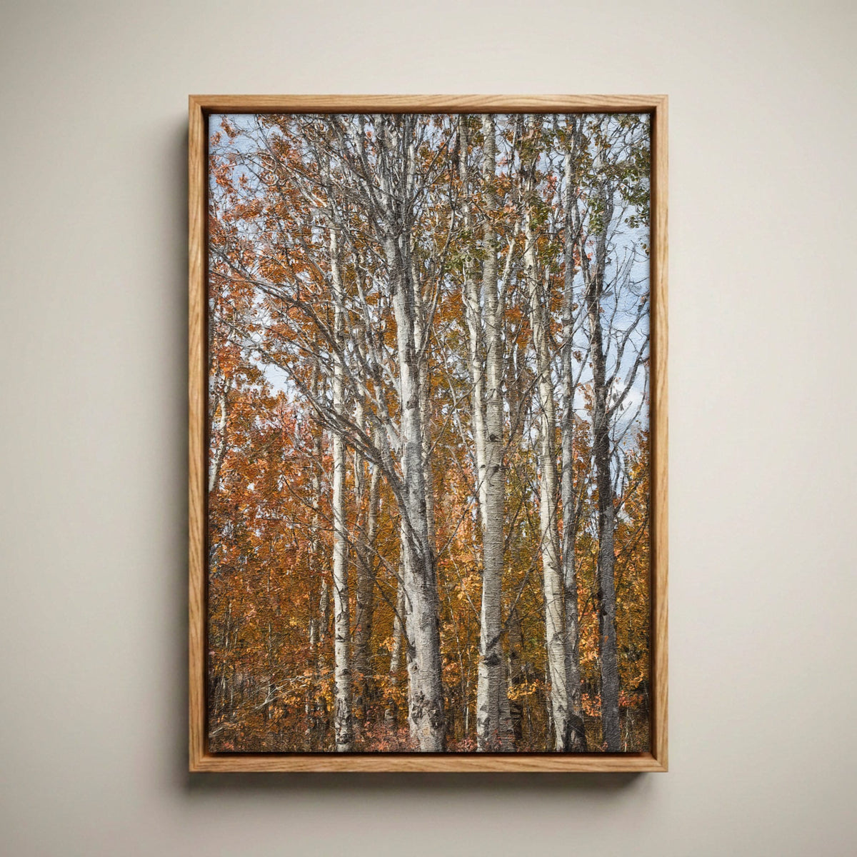 Aspen Tree Photography – Autumn Tree Print with Golden Aspen Leaves Canvas-Natural Oak Float Frame / 12 x 18 Inches