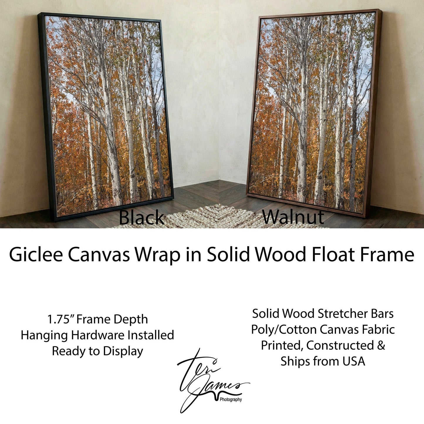 Aspen Tree Photography – Autumn Tree Print with Golden Aspen Leaves Wall Art Canvas-Black Frame / 12 x 18 Inches Wall Art Teri James Photography