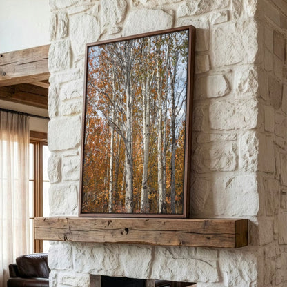 Aspen Tree Photography – Autumn Tree Print with Golden Aspen Leaves Wall Art Wall Art Teri James Photography