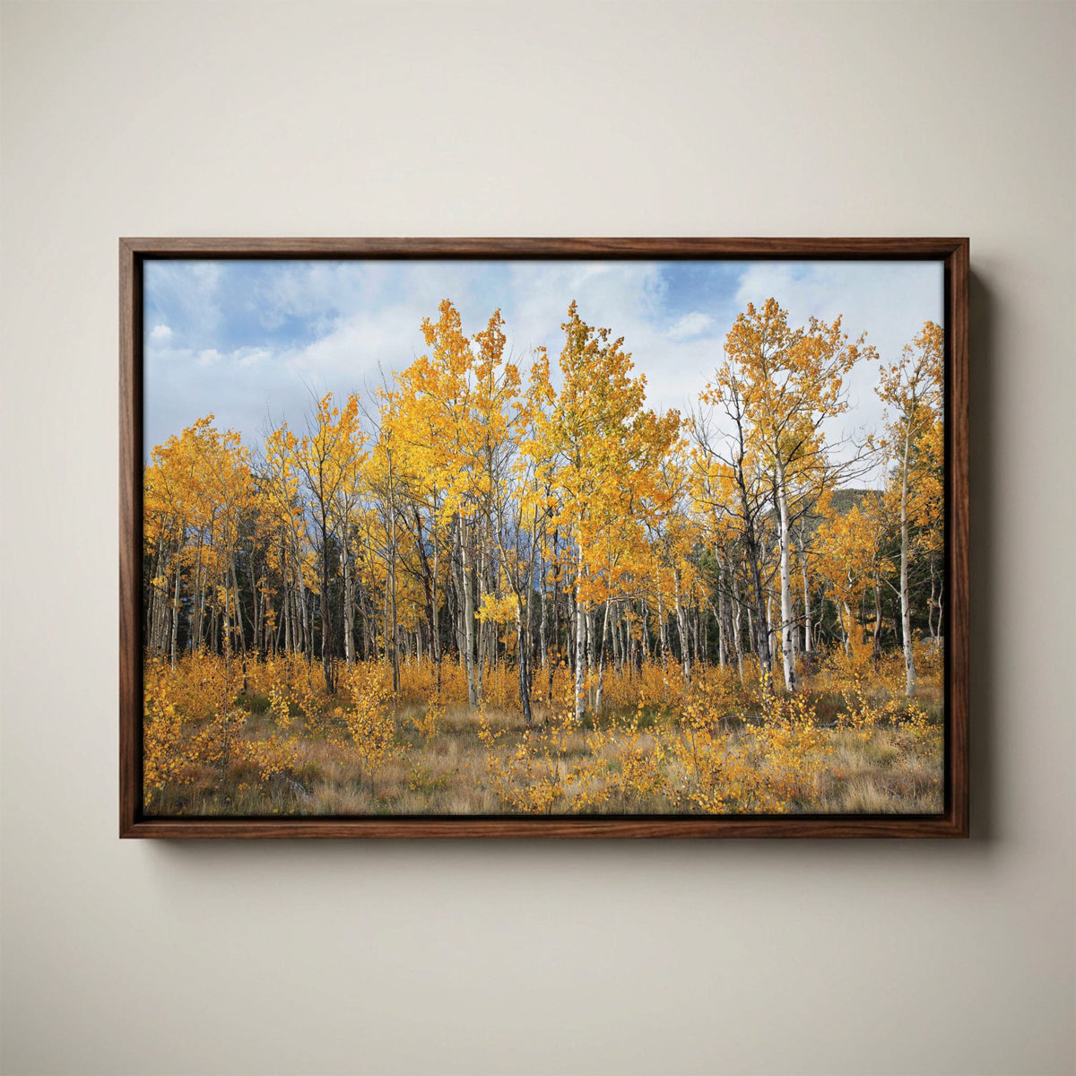 Aspen Tree Print - Colorado Wall Art