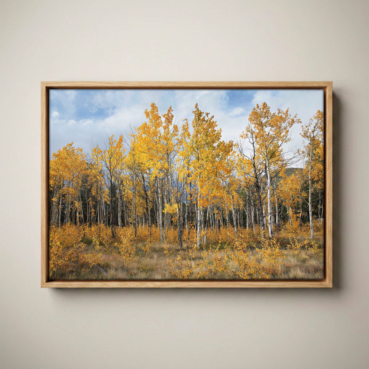 Aspen Tree Print - Colorado Wall Art Canvas-Natural Oak Float Frame / 12 x 18 Inches