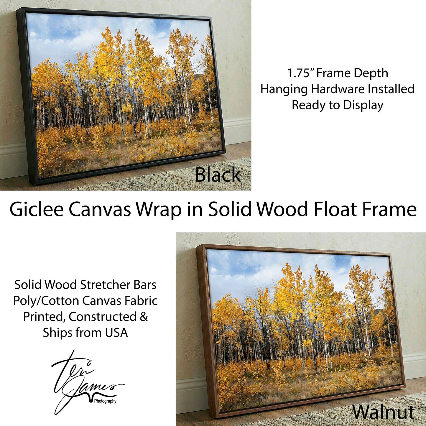 Aspen Tree Print - Colorado Wall Art | Vibrant Scenic Fall Colors Canvas-Black Frame / 12 x 18 Inches Wall Art Teri James Photography