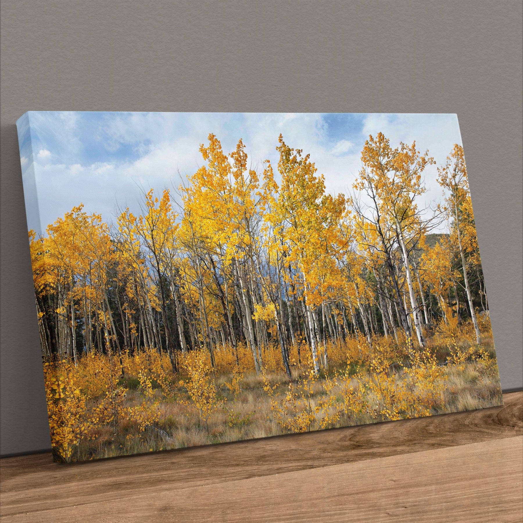 Aspen Tree Print - Colorado Wall Art | Vibrant Scenic Fall Colors Canvas-Unframed / 12 x 18 Inches Wall Art Teri James Photography