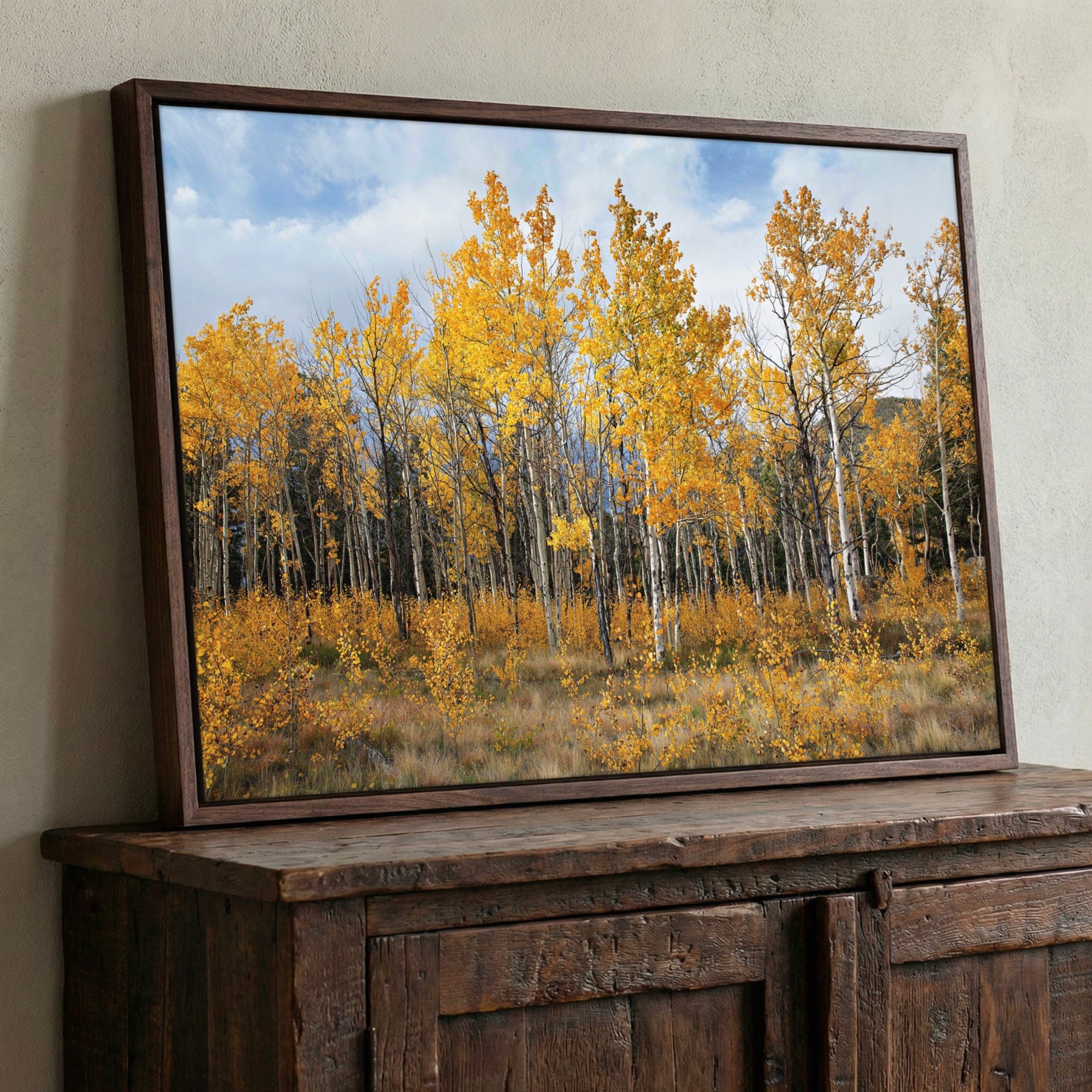 Aspen Tree Print - Colorado Wall Art | Vibrant Scenic Fall Colors Wall Art Teri James Photography