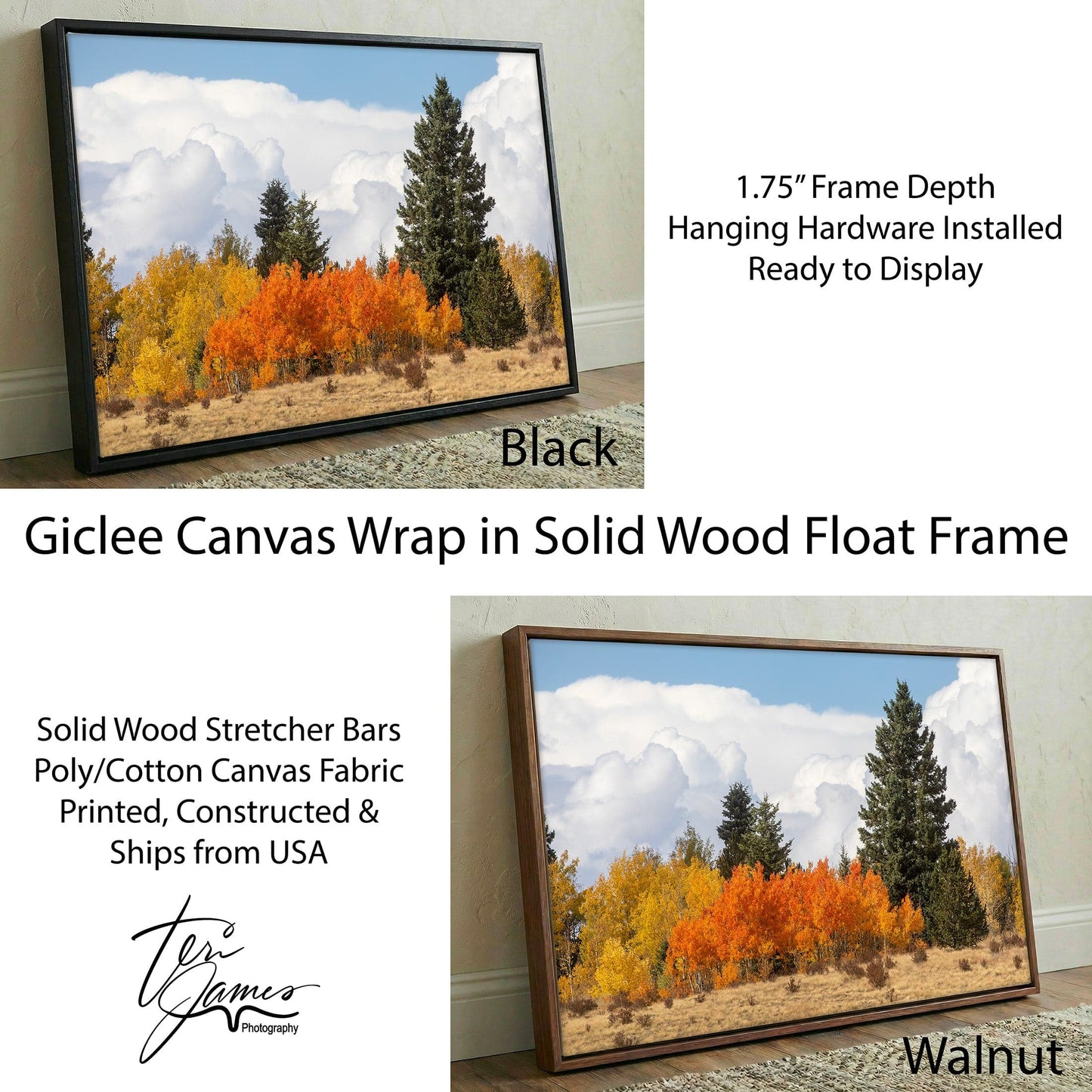 Aspen Trees Artwork - Colorado Wall Art - Scenic Nature Poster Canvas Print Canvas-Black Frame / 12 x 18 Inches Wall Art Teri James Photography