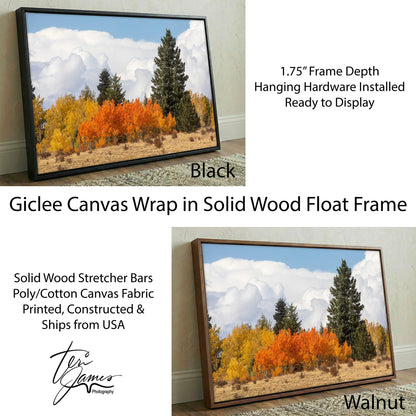 Aspen Trees Artwork - Colorado Wall Art - Scenic Nature Poster Canvas Print Canvas-Black Frame / 12 x 18 Inches Wall Art Teri James Photography