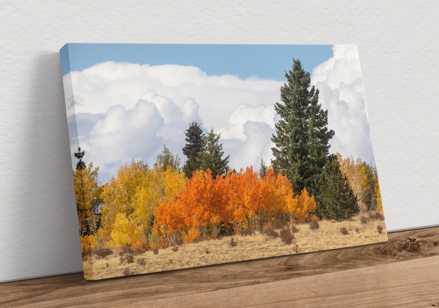 Aspen Trees Scenic Artwork Canvas-Unframed / 12 x 18 Inches Wall Art Teri James Photography