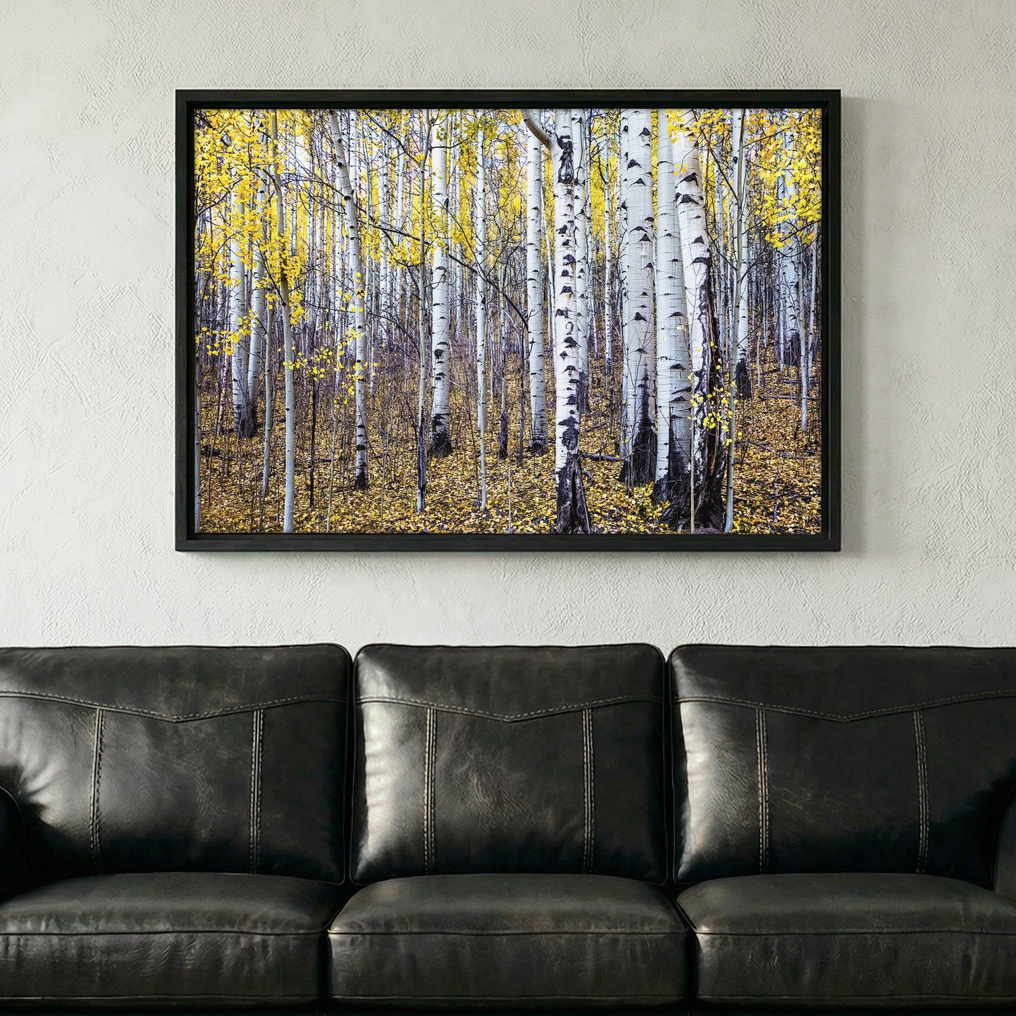 Fall Aspen Tree Wall Art - Colorado Scenic Photography