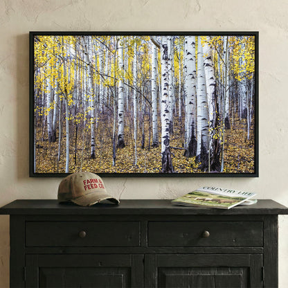 Fall Aspen Tree Wall Art - Colorado Scenic Photography