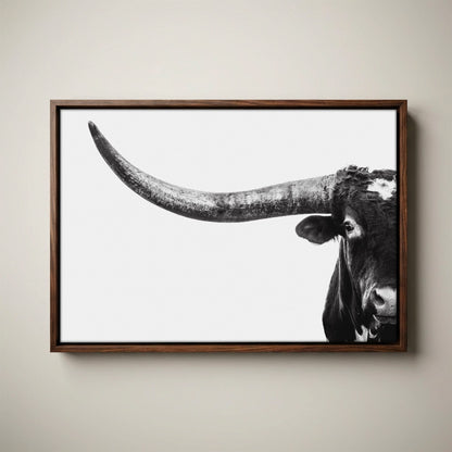 Austin Texas Longhorn Art in Black and White