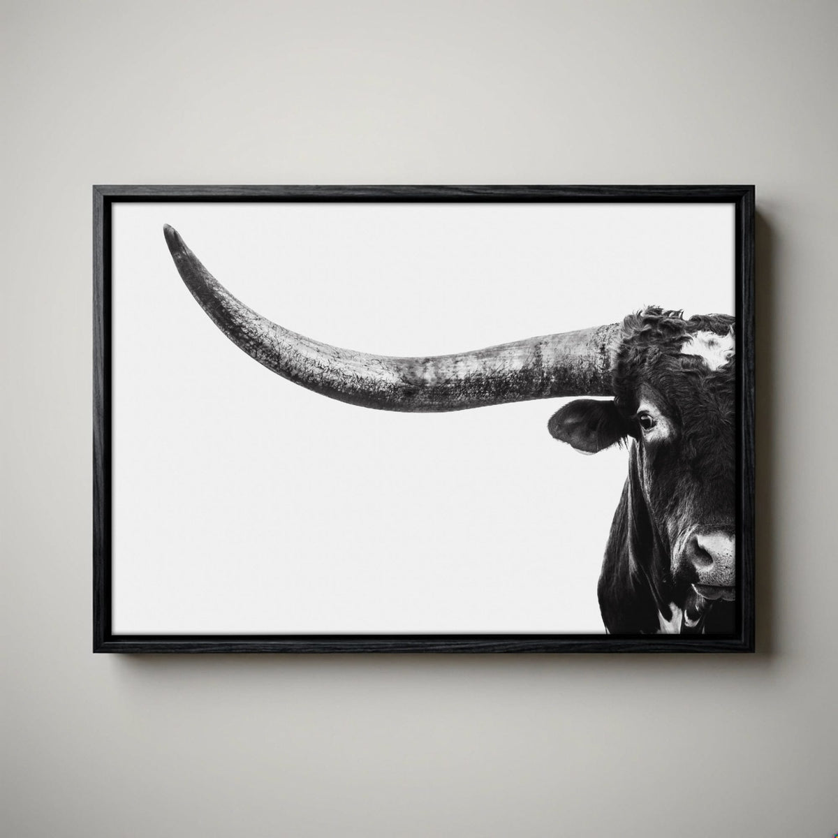 Austin Texas Longhorn Art in Black and White