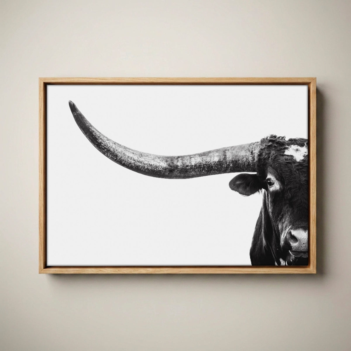 Austin Texas Longhorn Art in Black and White Canvas-Natural Oak Float Frame / 12 x 18 Inches