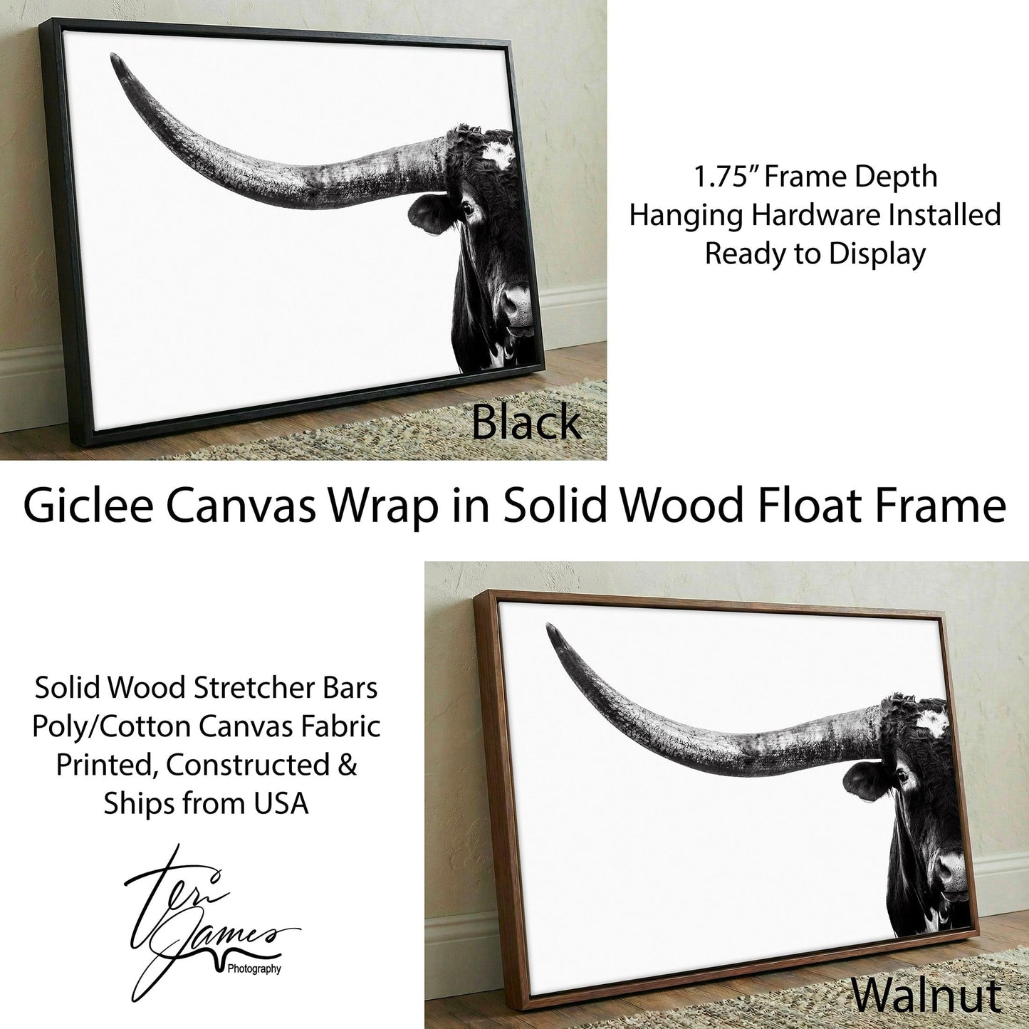 Austin Texas Longhorn Art in Black and White Canvas-Black Frame / 12 x 18 Inches Wall Art Teri James Photography