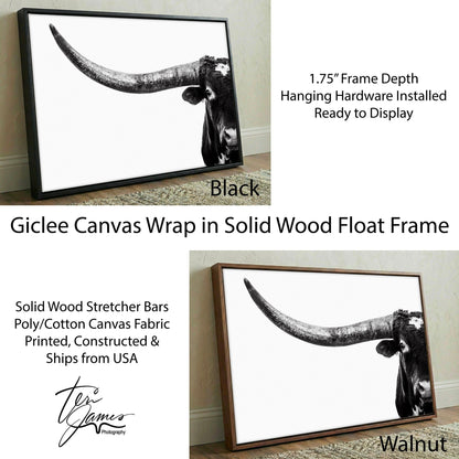 Austin Texas Longhorn Art in Black and White Canvas-Black Frame / 12 x 18 Inches Wall Art Teri James Photography