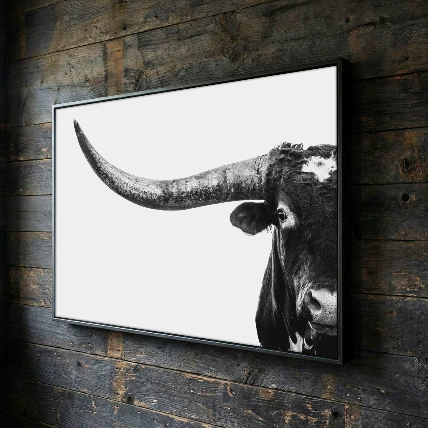 Austin Texas Longhorn Art in Black and White Wall Art Teri James Photography