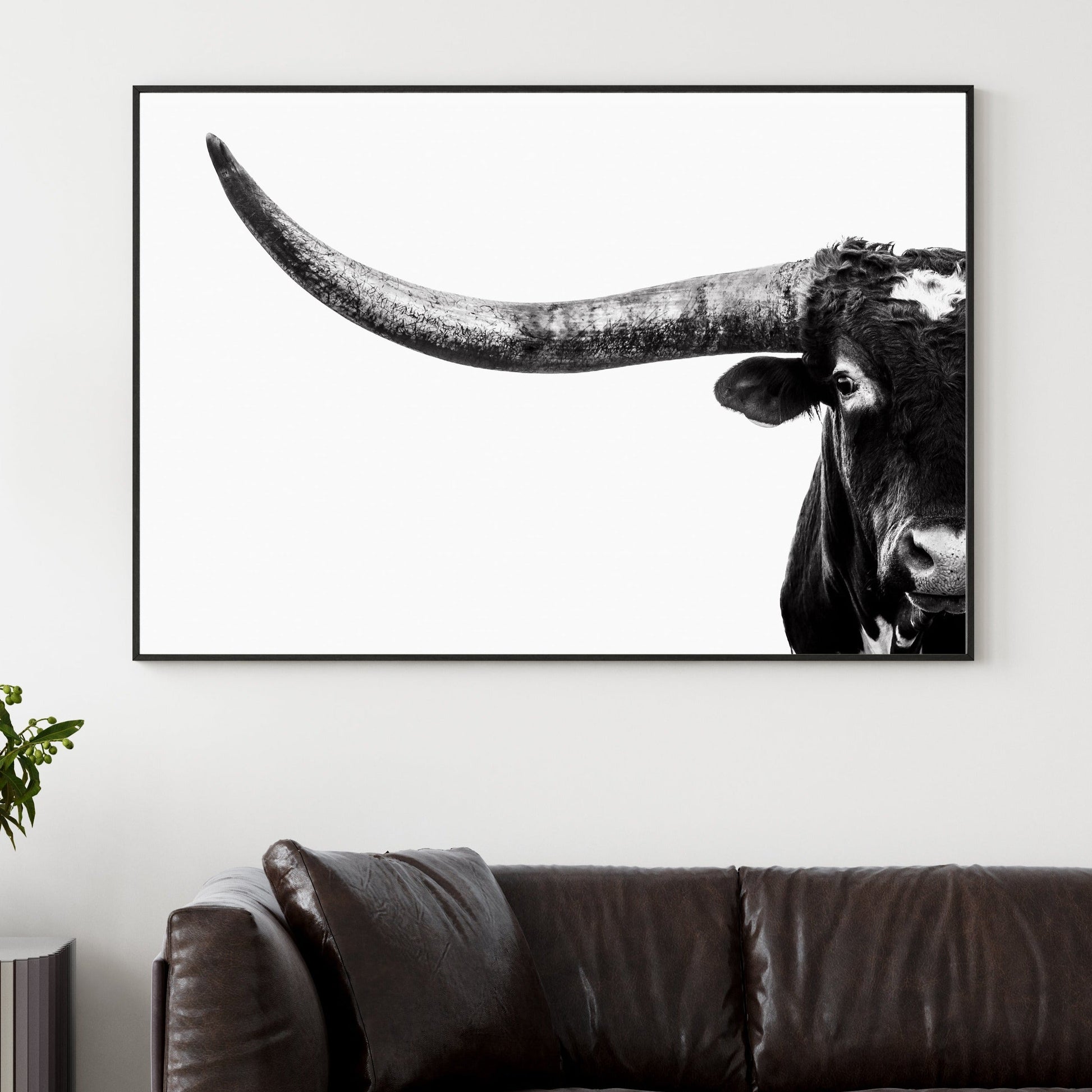 Austin Texas Longhorn Art in Black and White Wall Art Teri James Photography