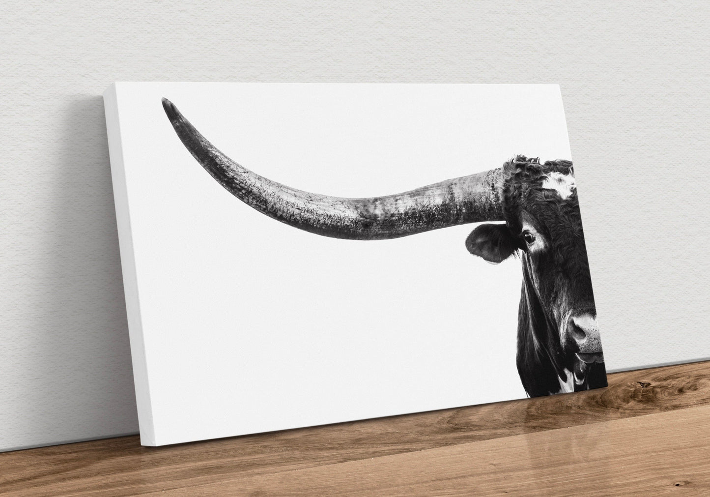 Austin TX Longhorn Art in Black and White Canvas-Unframed / 12 x 18 Inches Wall Art Teri James Photography
