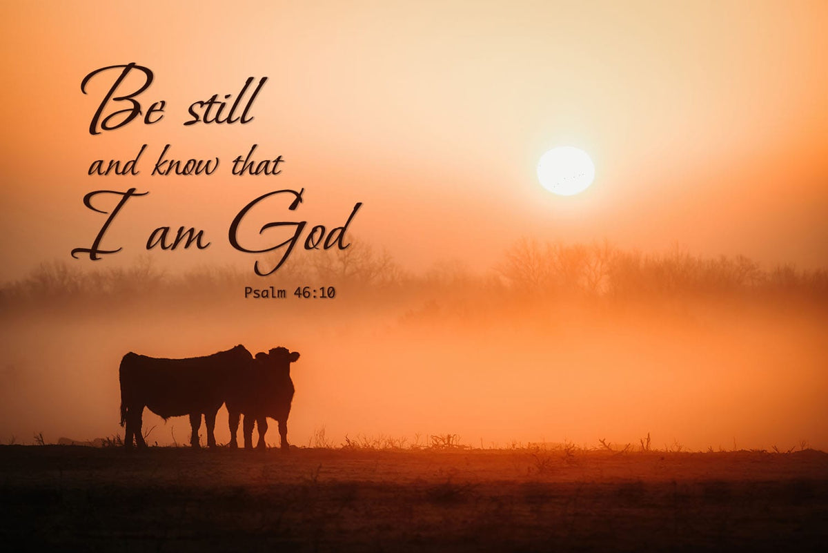 Be Still Wall Art | Christian Scripture Canvas Print | Psalm 46:10 Mounted Photo Print / 12 x 18 Inches