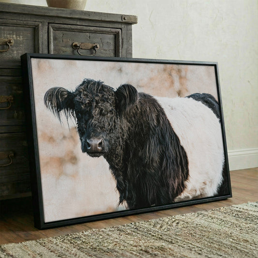Belted Galloway Canvas Art - Rustic Farm Animal Wall Art Cow Canvas Print Wall Art Teri James Photography