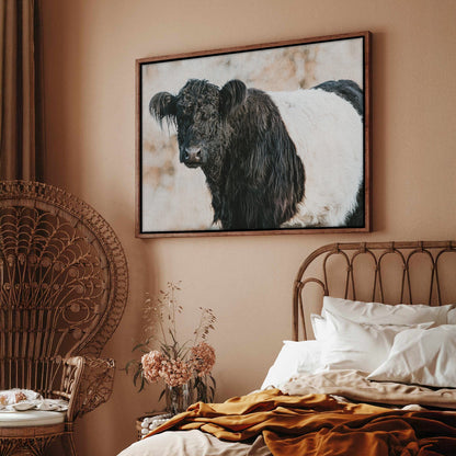 Belted Galloway Canvas Art - Rustic Farm Animal Wall Art Cow Canvas Print Wall Art Teri James Photography