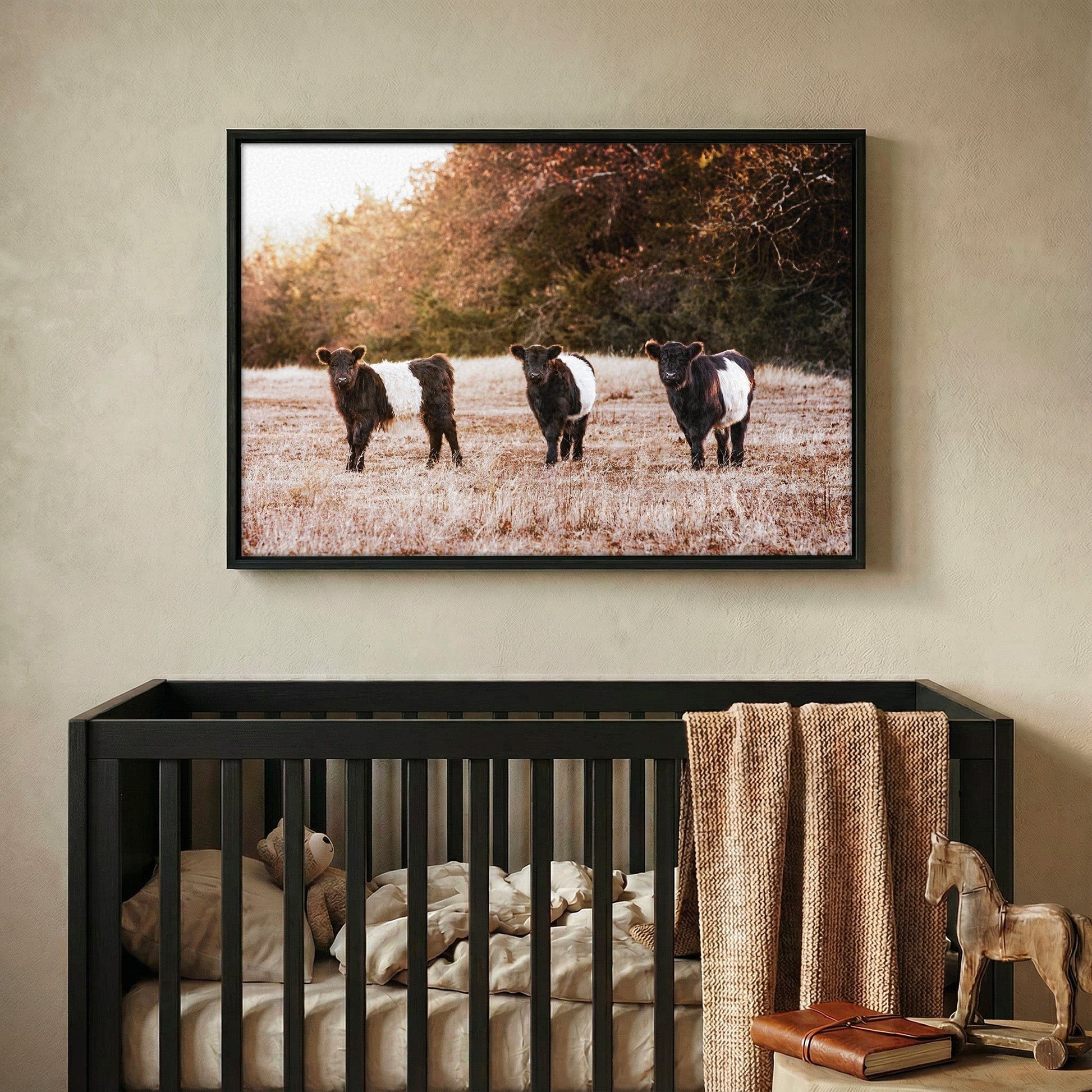 Belted Galloway Cattle Photo – Pasture Animal Artwork & Rural Landscape Art Print Wall Art Teri James Photography
