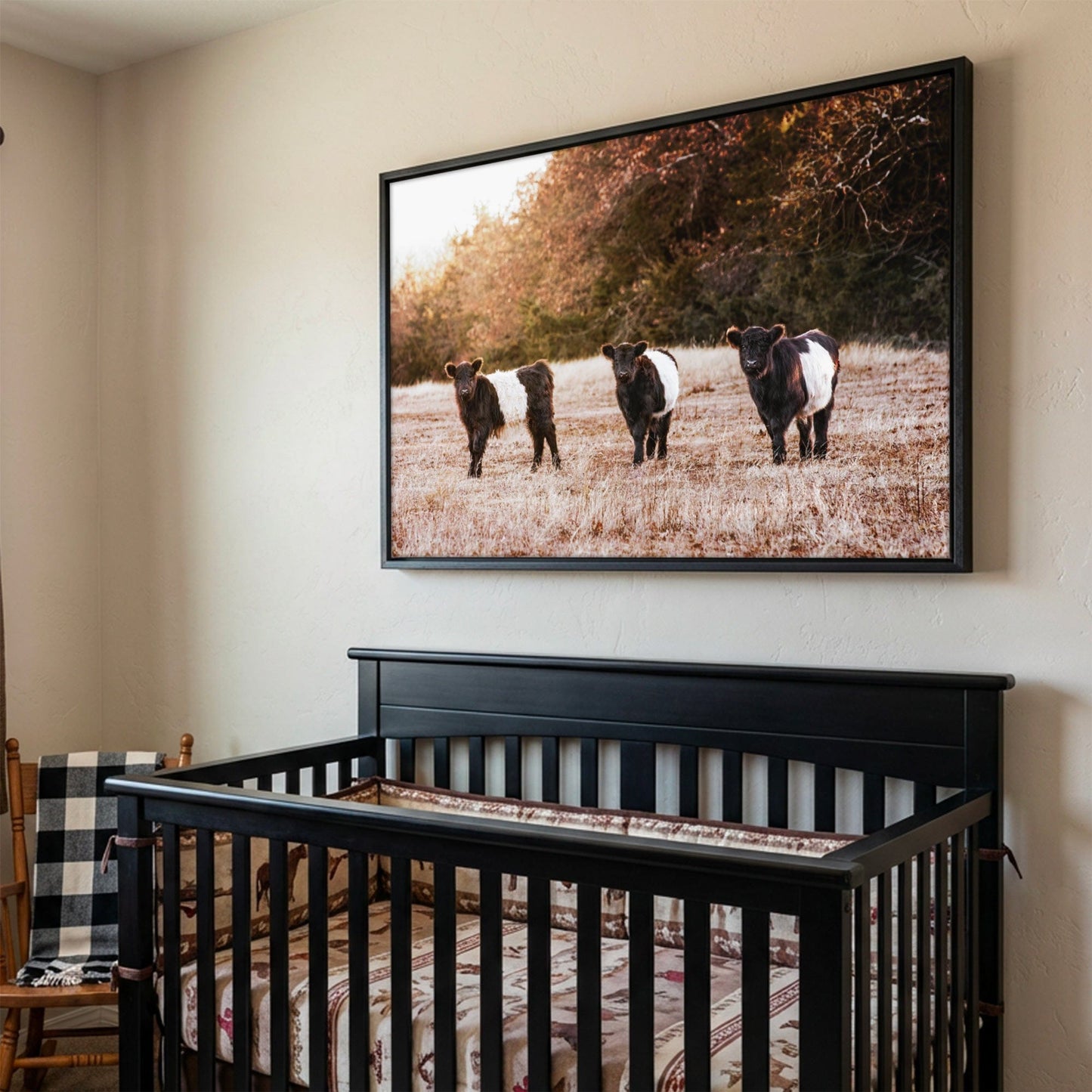 Belted Galloway Cattle Photo – Pasture Animal Artwork & Rural Landscape Art Print Wall Art Teri James Photography