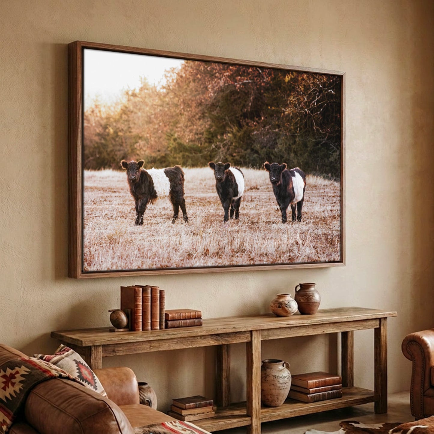 Belted Galloway Cattle Photo – Rural Landscape Art Print Canvas-Walnut Frame / 12 x 18 Inches
