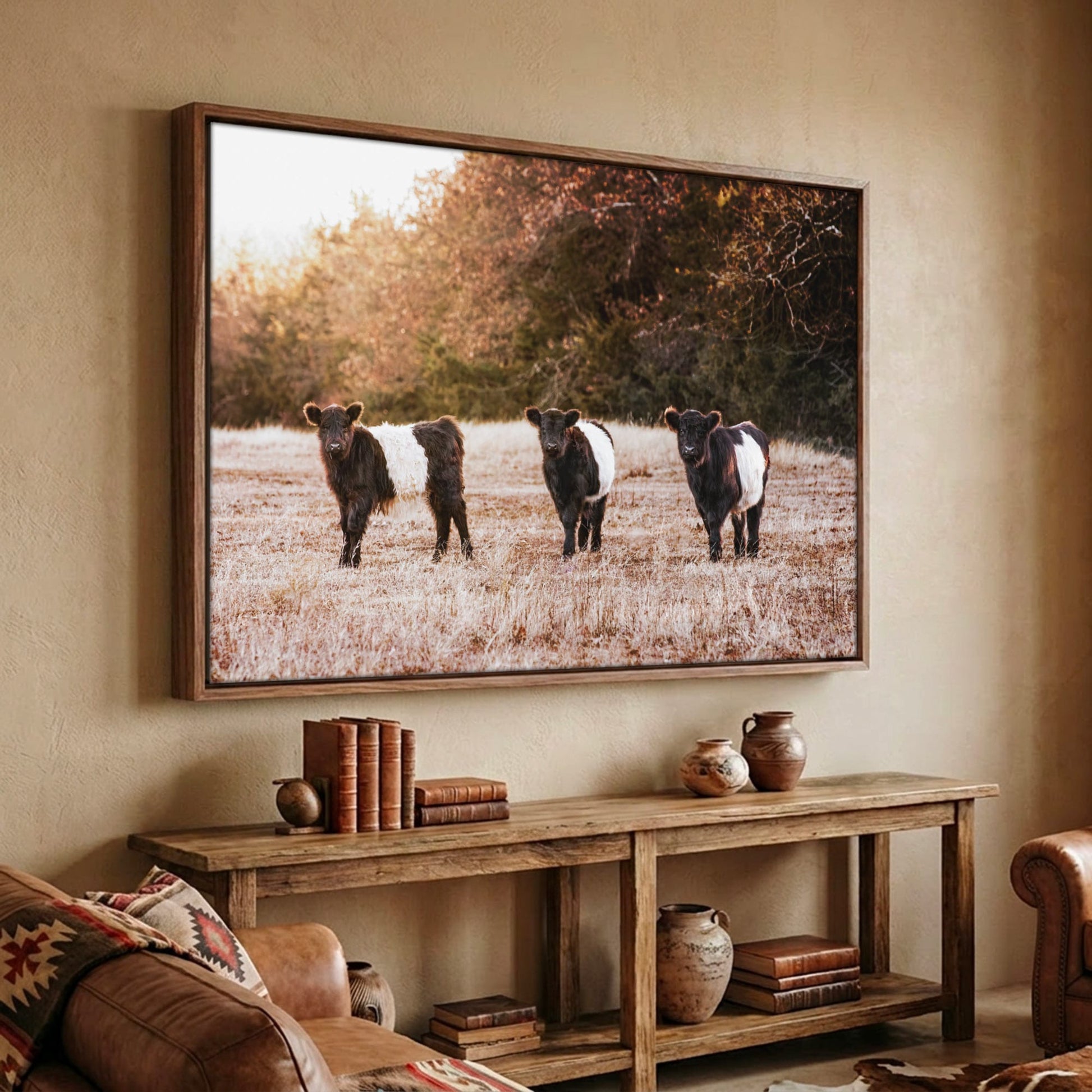 Belted Galloway Cattle Photo – Rural Landscape Art Print Canvas-Walnut Frame / 12 x 18 Inches