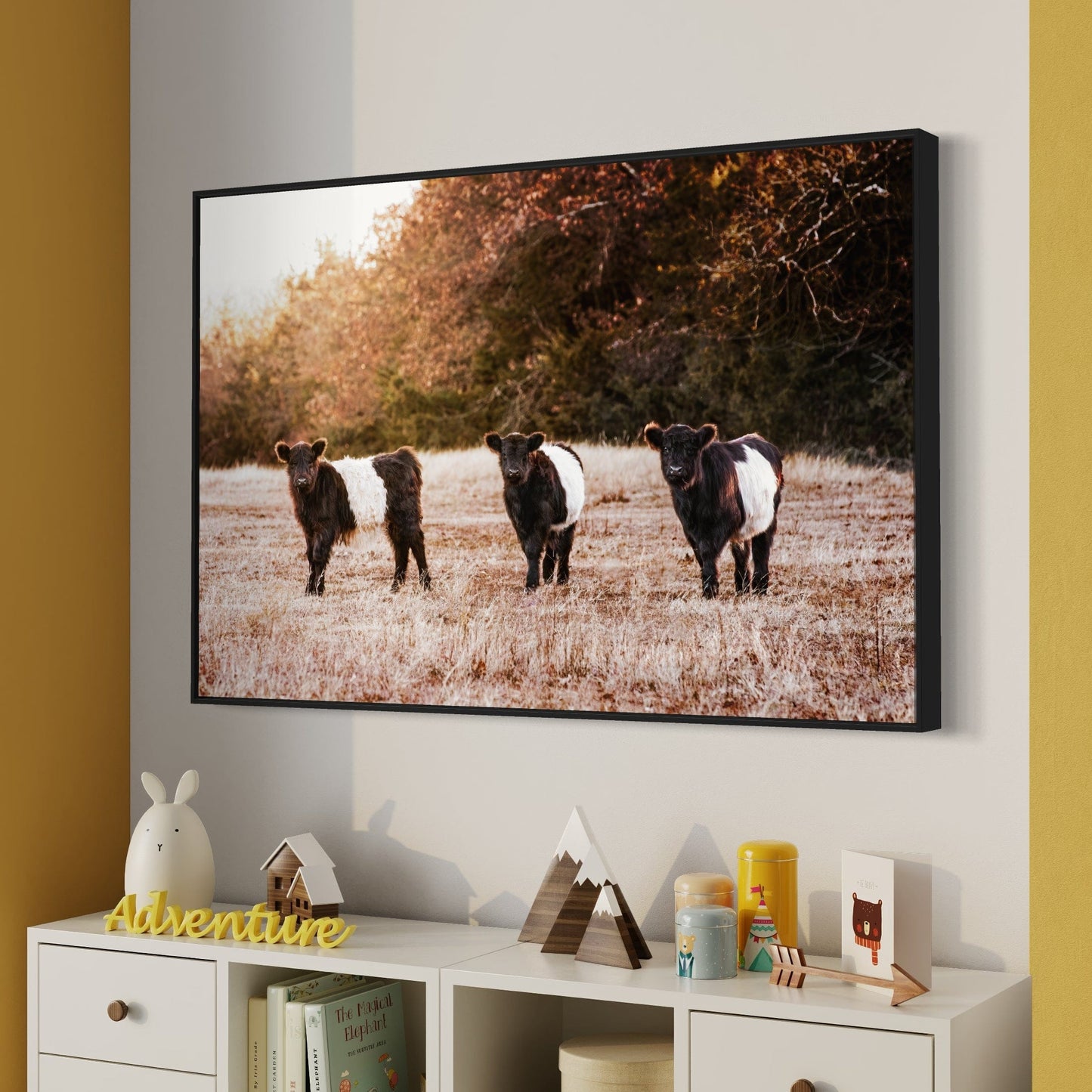 Belted Galloway Cattle Photo Wall Art Teri James Photography