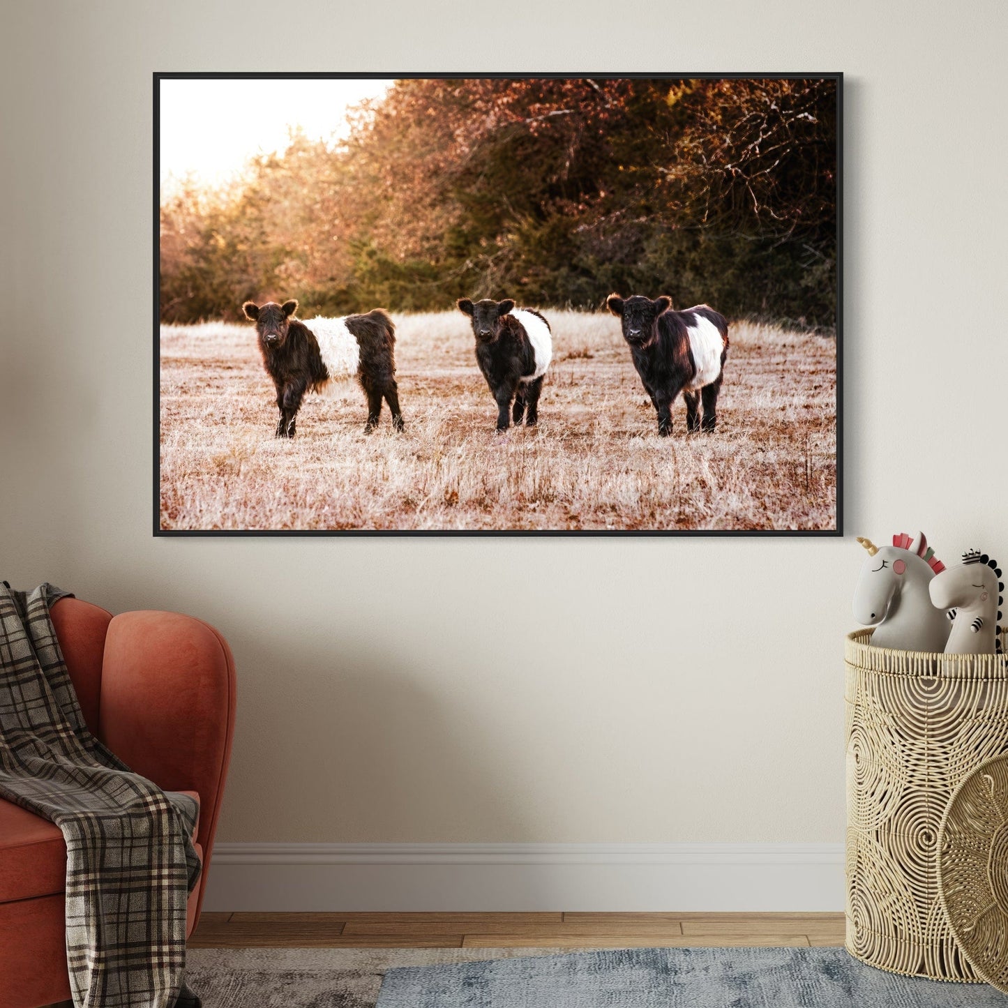 Belted Galloway Cattle Photo Wall Art Teri James Photography