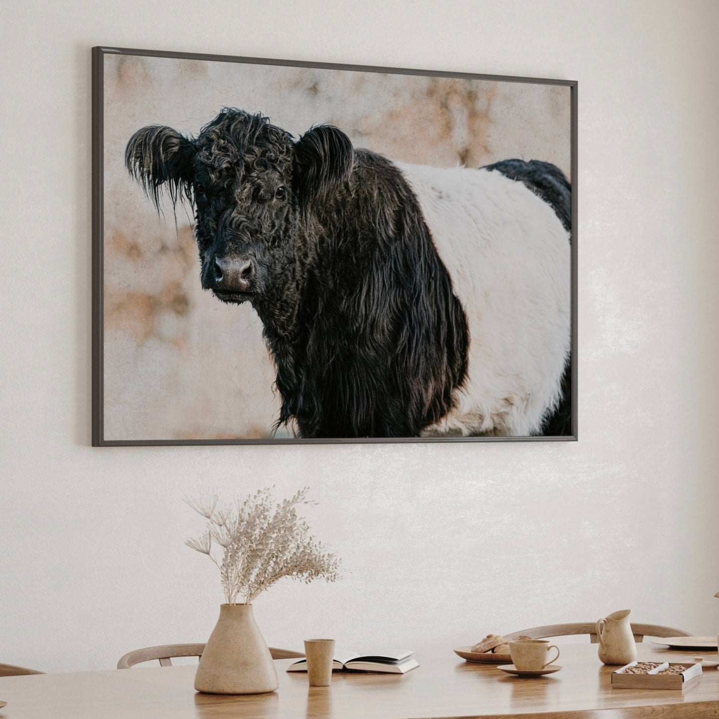 Belted Galloway Cow Canvas Wall Art Teri James Photography