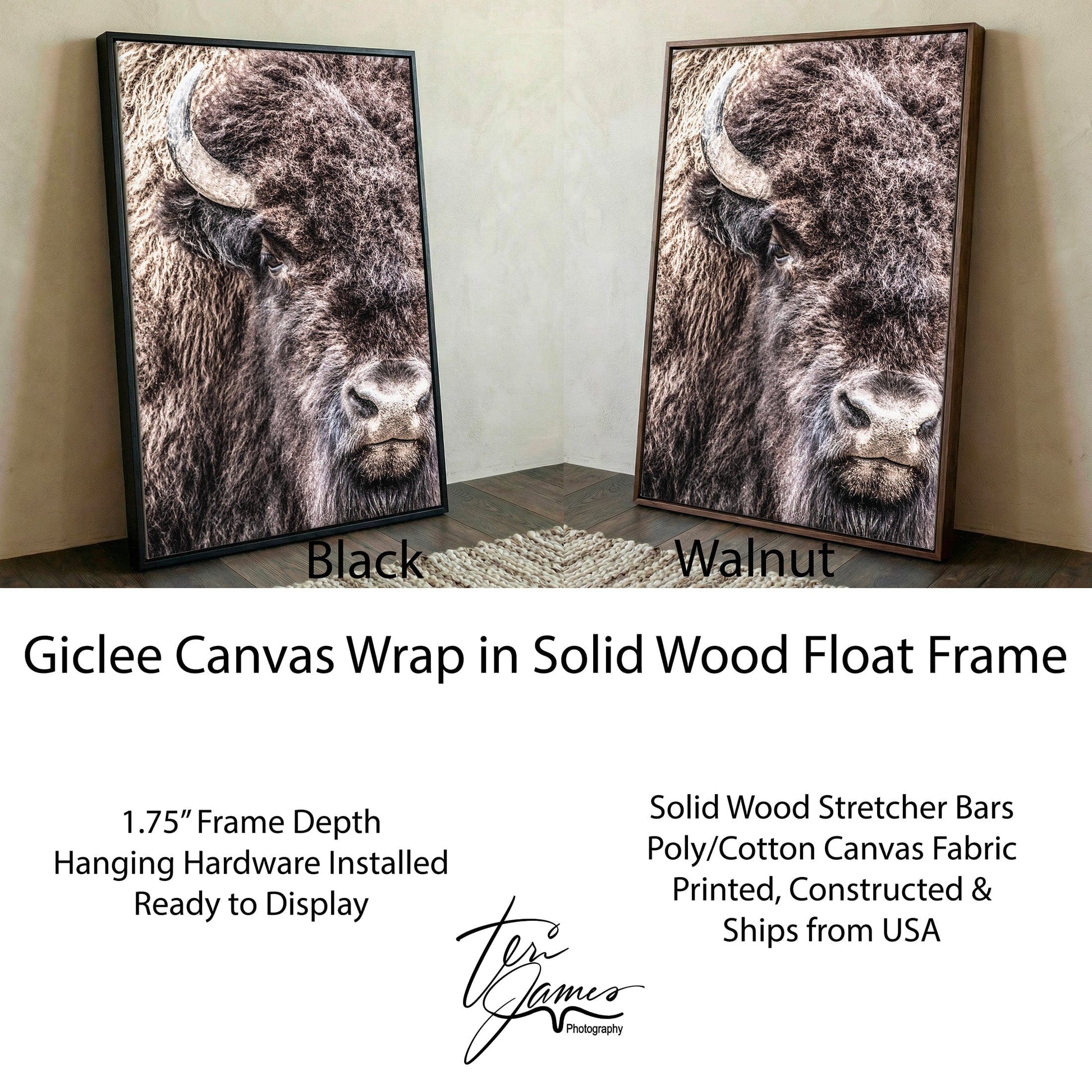 Bison Bull Canvas - Majestic Wildlife Wall Art Rustic Western Decor Print Canvas-Black Frame / 12 x 18 Inches Wall Art Teri James Photography